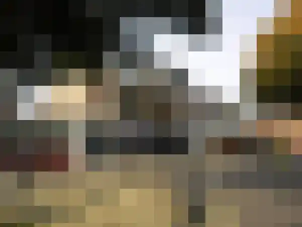 Den Hof 17 Waalre thumbnail 7