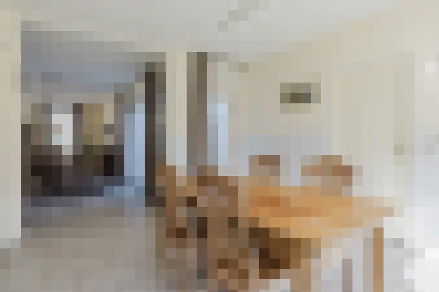 Den Hof 35 Zundert thumbnail 16