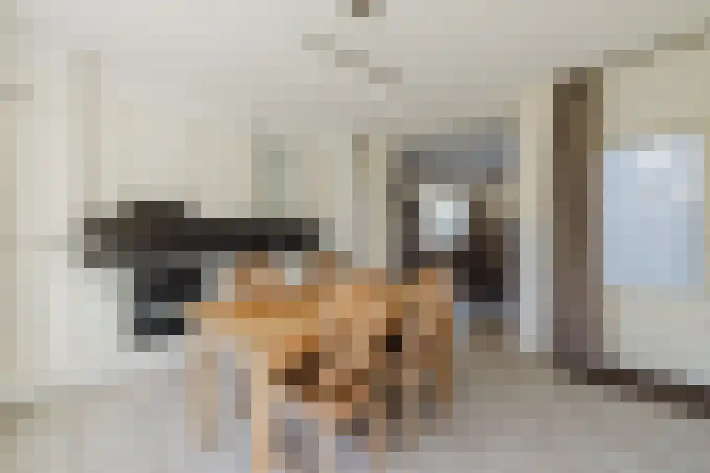 Den Hof 35 Zundert thumbnail 18