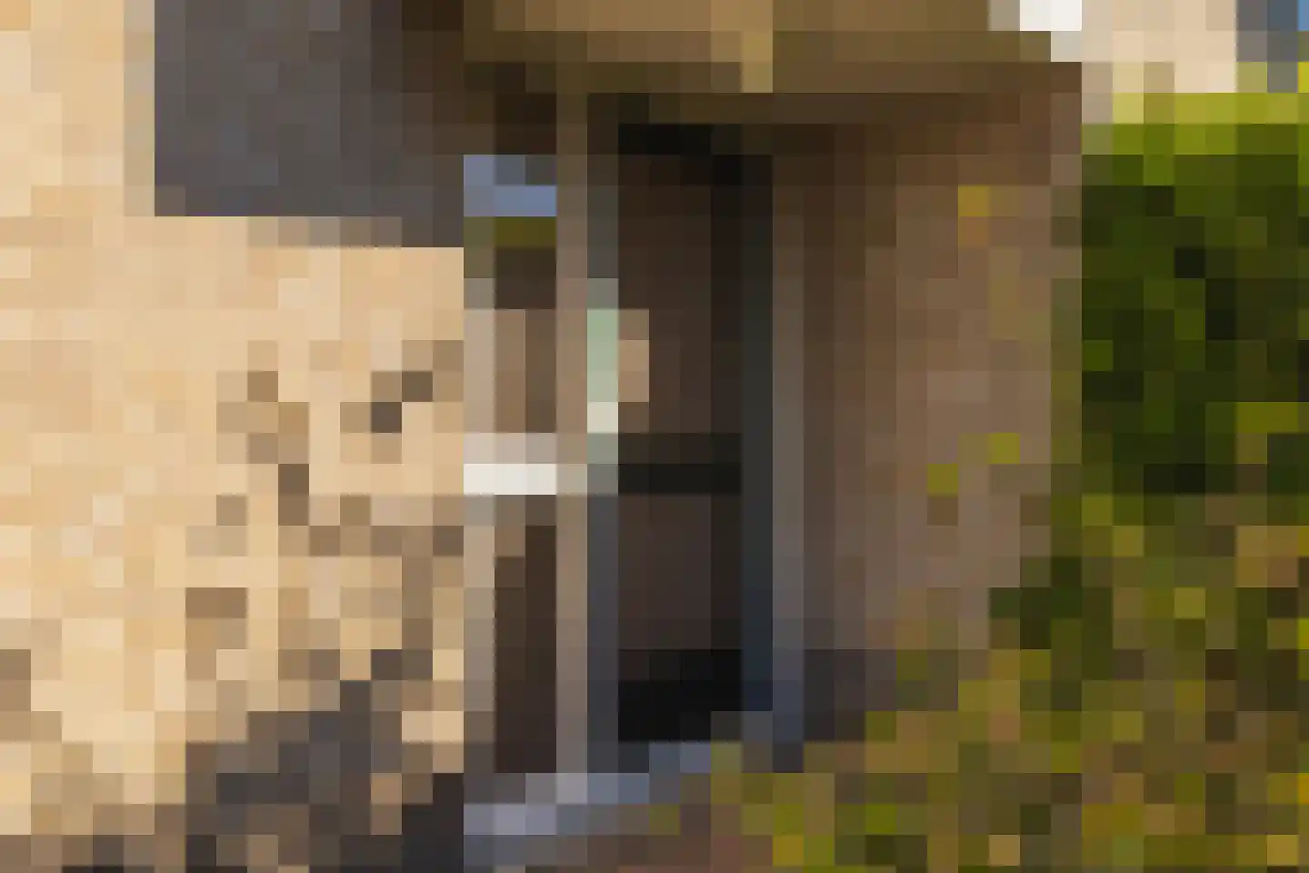 Den Hof 35 Zundert thumbnail 8