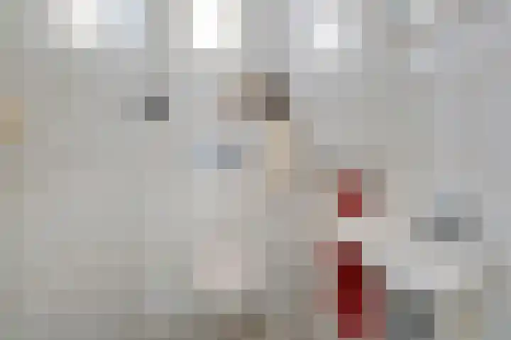 Den Hof 4 Delden thumbnail 18