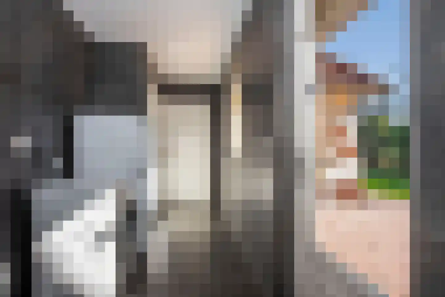 Den Hof 4 Delden thumbnail 21