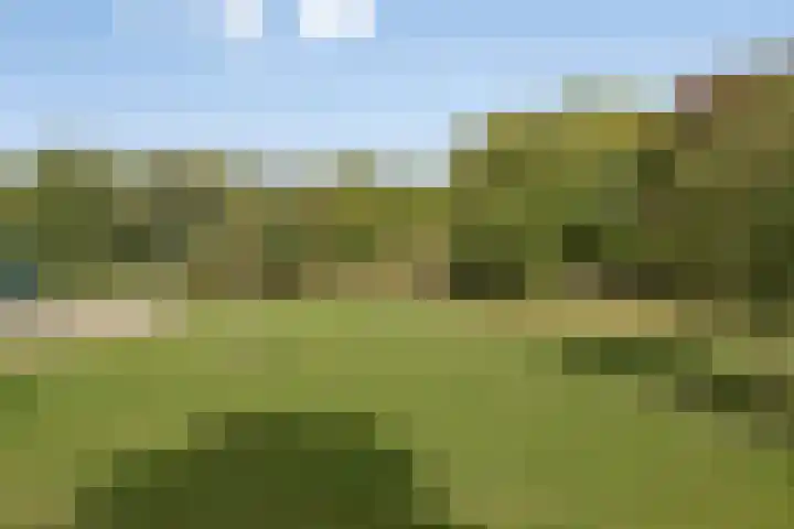 Den Hof 4 Delden thumbnail 31