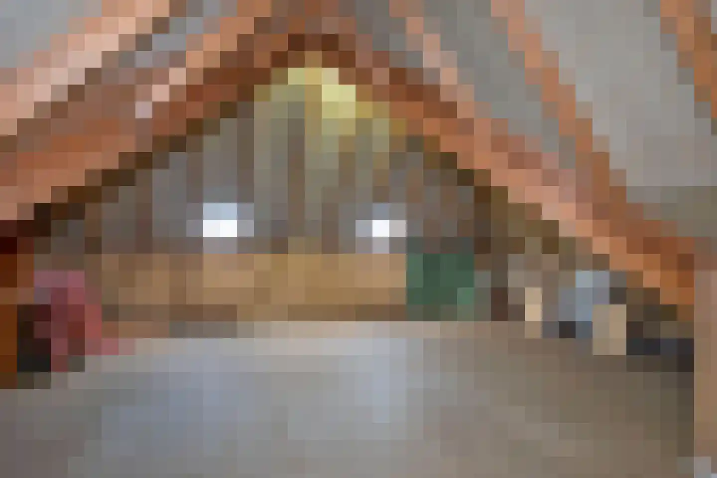 Den Hof 4 Delden thumbnail 46