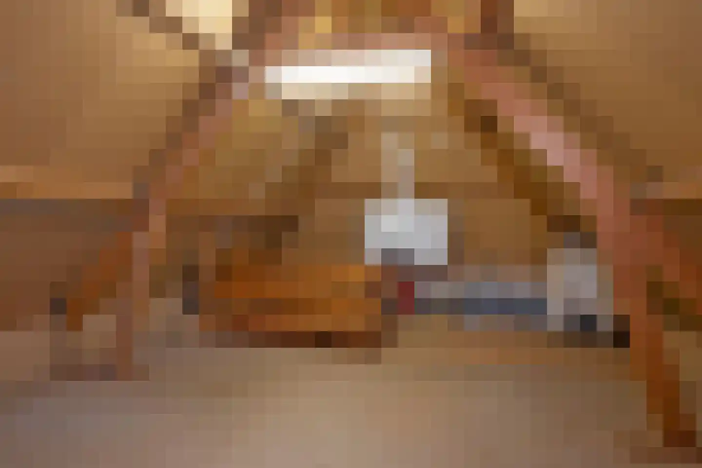 Den Hof 4 Delden thumbnail 48