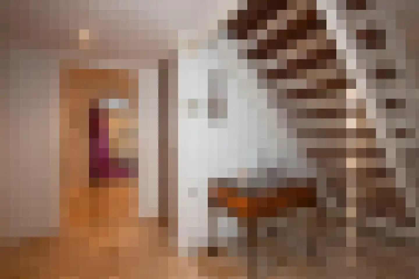 Den Hof 4 Delden thumbnail 5