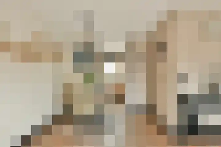 Den Hof 4 Delden thumbnail 53