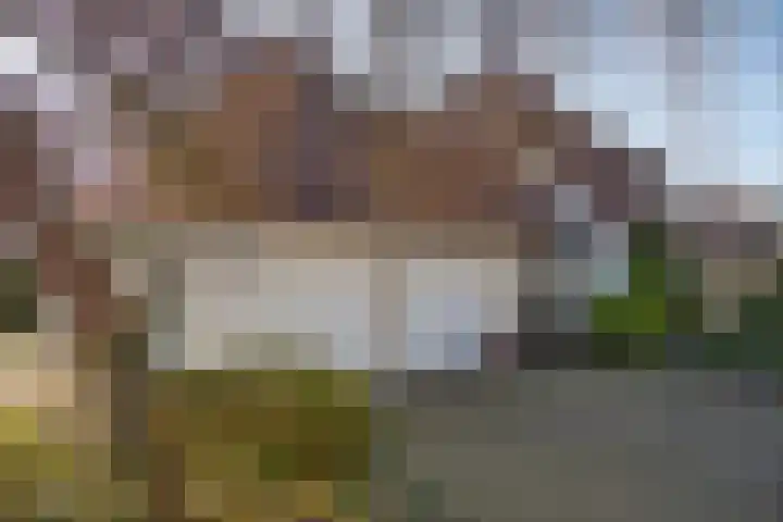 Den Hof 4 Delden thumbnail 61
