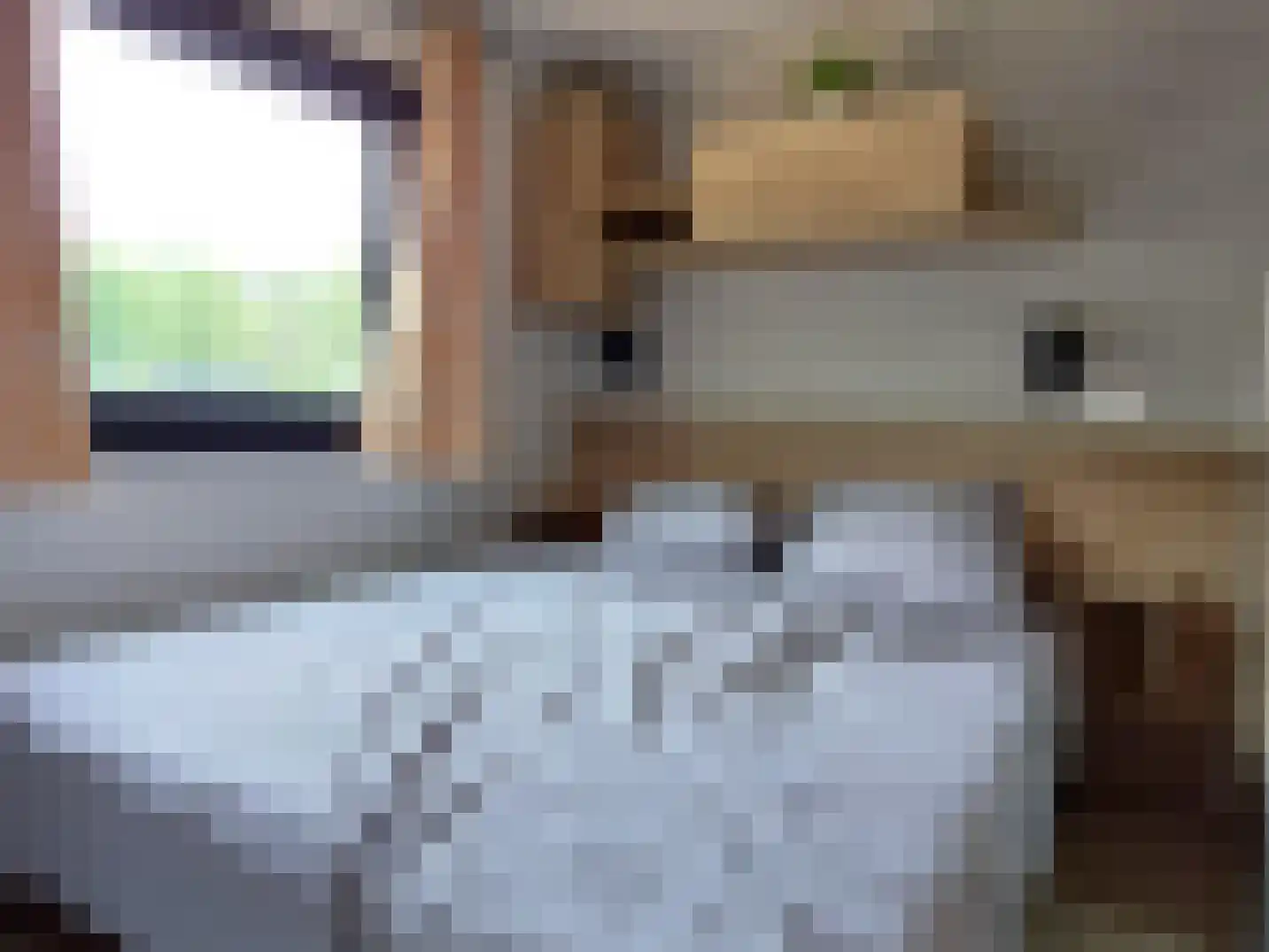 Den Hof 4 Delden thumbnail 62
