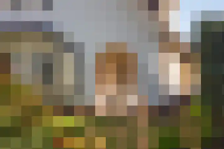 Den Hof 4 Delden thumbnail 64