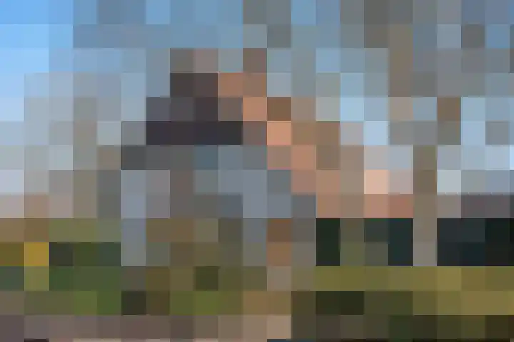 Den Hof 4 Delden thumbnail 65