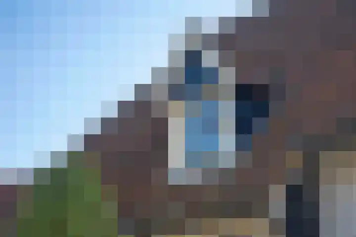 Den Hof 4 Delden thumbnail 69