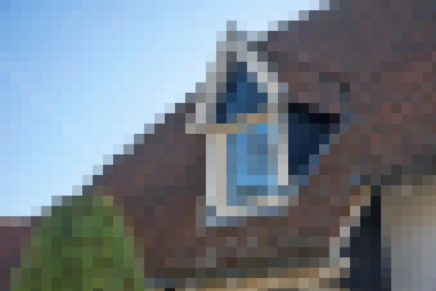 Den Hof 4 Delden thumbnail 69