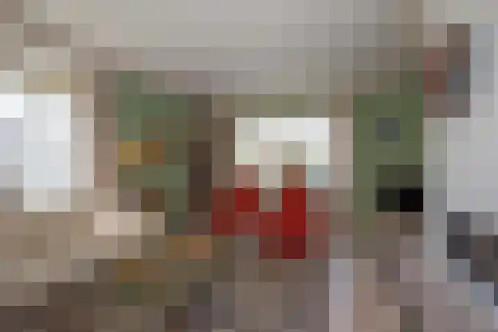 Den Hof 4 Delden thumbnail 8