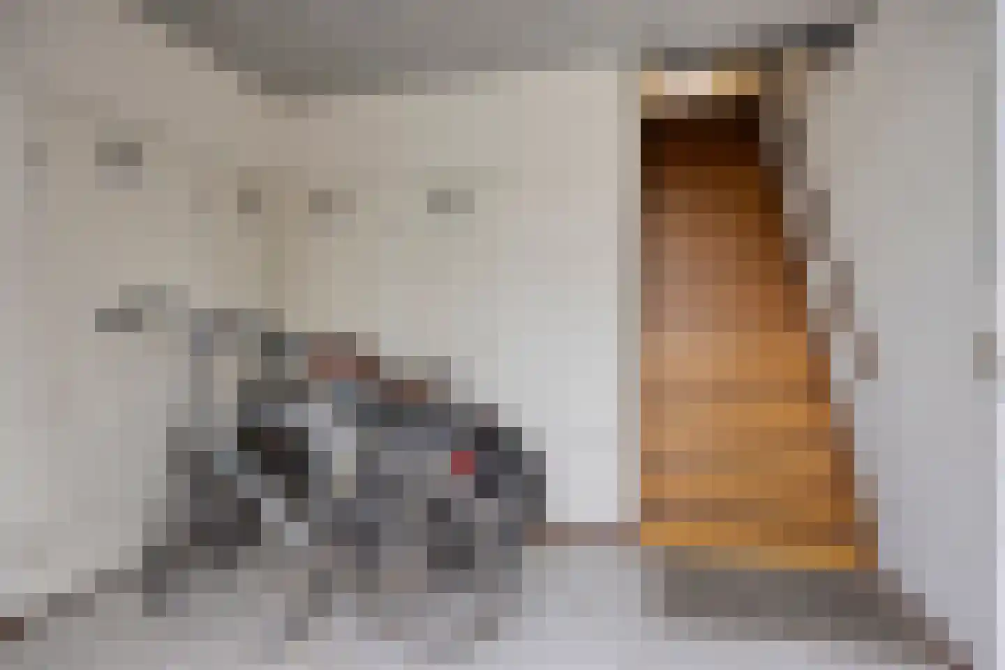 Den Hof 52 Waalre thumbnail 8