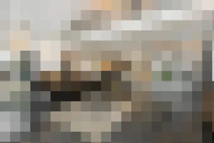 den Hof 6 Mierlo thumbnail 10