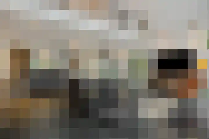 den Hof 6 Mierlo thumbnail 11