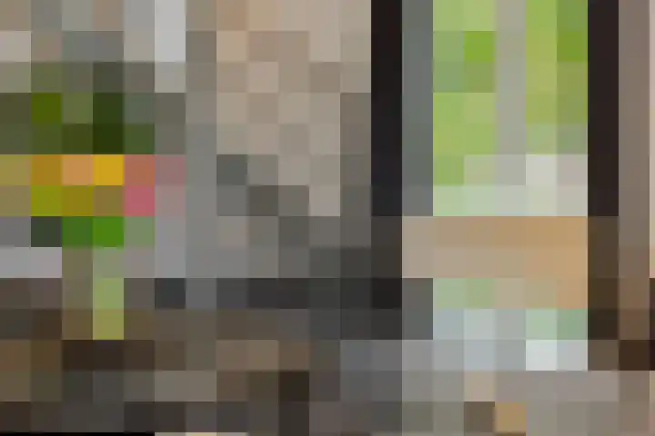 den Hof 6 Mierlo thumbnail 13