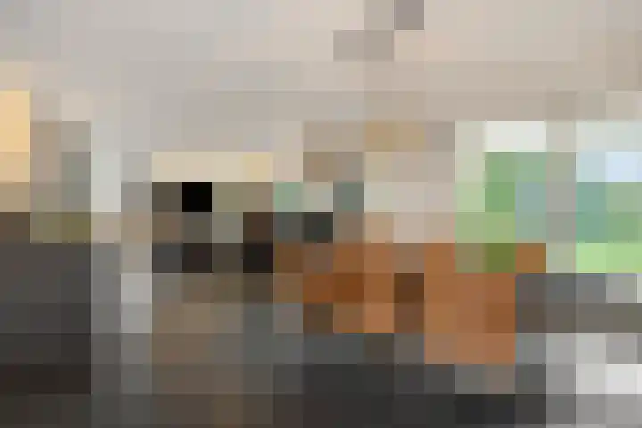 den Hof 6 Mierlo thumbnail 14