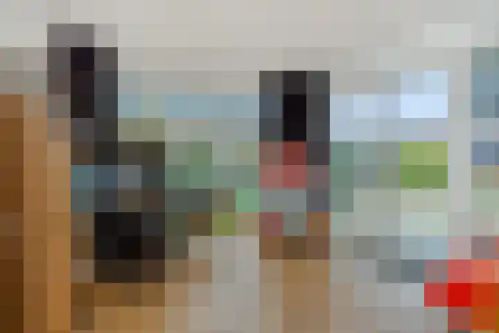 den Hof 6 Mierlo thumbnail 17