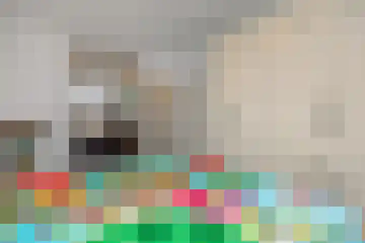 den Hof 6 Mierlo thumbnail 19