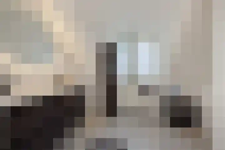 den Hof 6 Mierlo thumbnail 28