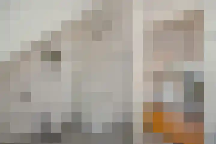 den Hof 6 Mierlo thumbnail 29