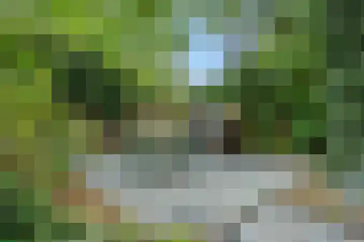 den Hof 6 Mierlo thumbnail 35
