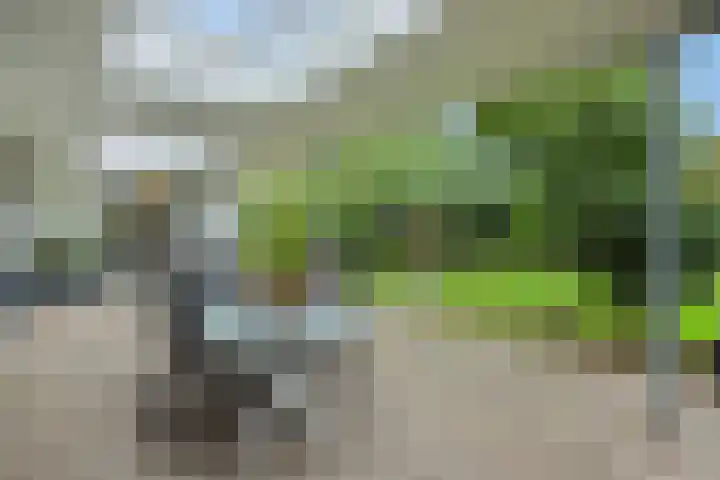 den Hof 6 Mierlo thumbnail 37