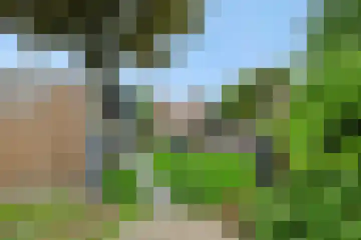 den Hof 6 Mierlo thumbnail 44