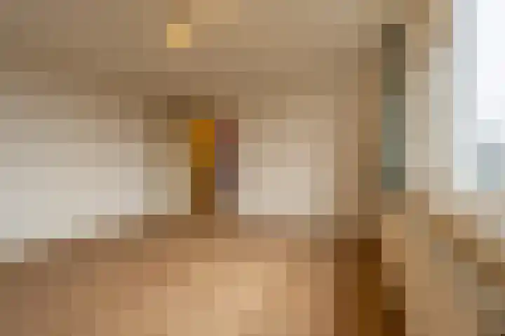 den Hof 6 Mierlo thumbnail 45