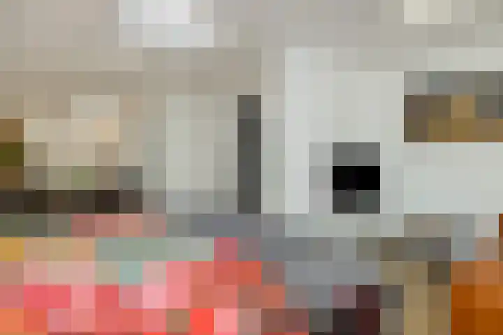 den Hof 6 Mierlo thumbnail 49