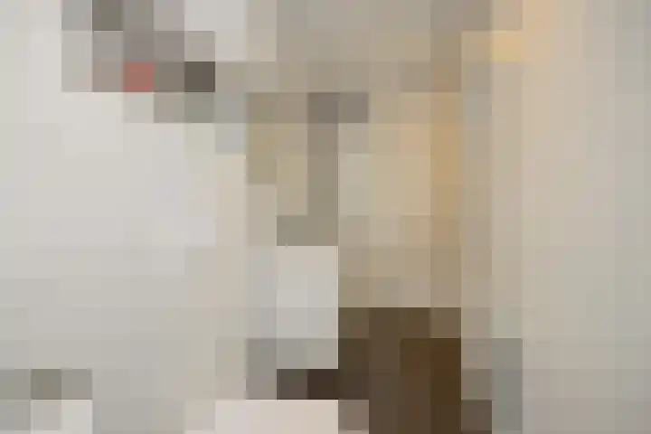 den Hof 6 Mierlo thumbnail 51