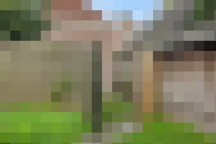 den Hof 6 Mierlo thumbnail 52
