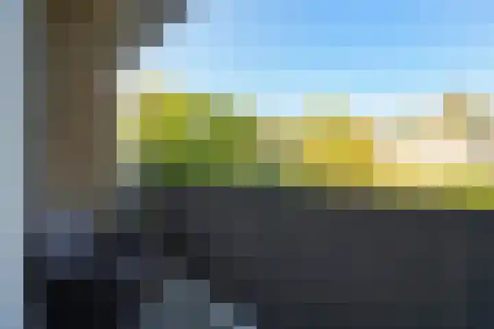 den Hof 6 Mierlo thumbnail 58