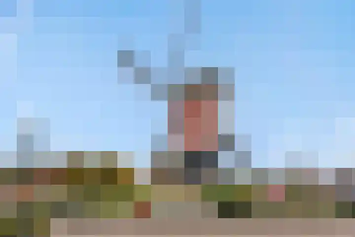 den Hof 6 Mierlo thumbnail 59