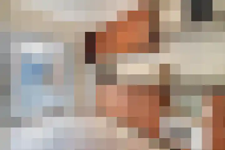 den Hof 6 Mierlo thumbnail 60