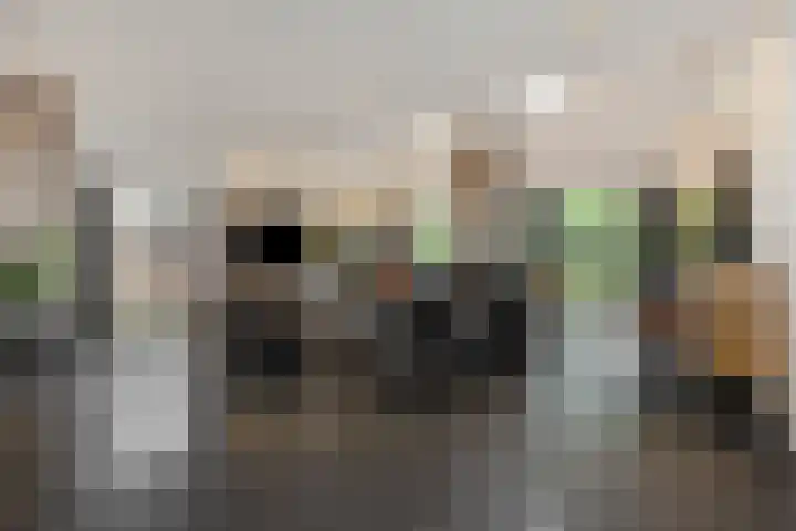 den Hof 6 Mierlo thumbnail 9