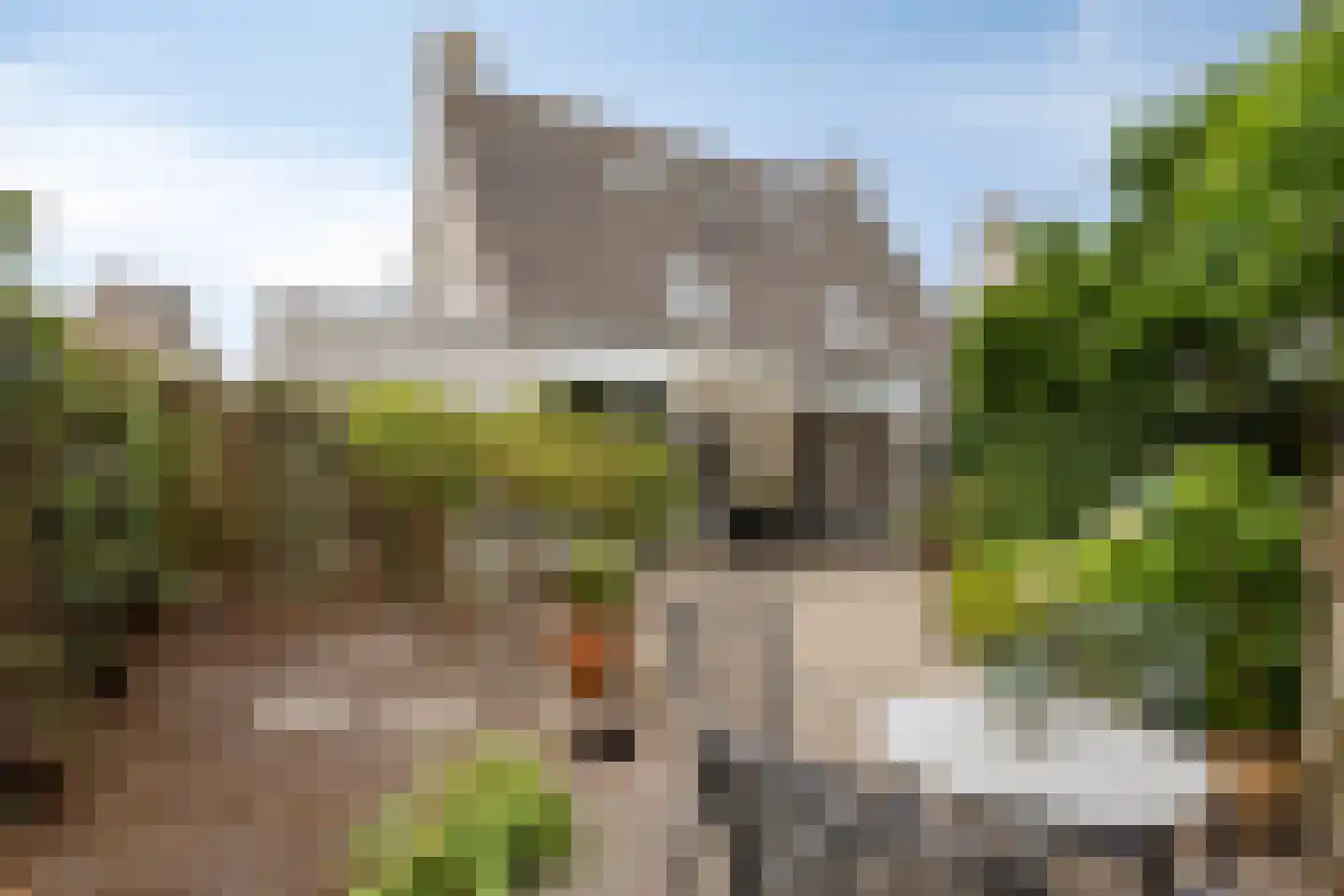 Den Hof 6 Nistelrode thumbnail 33