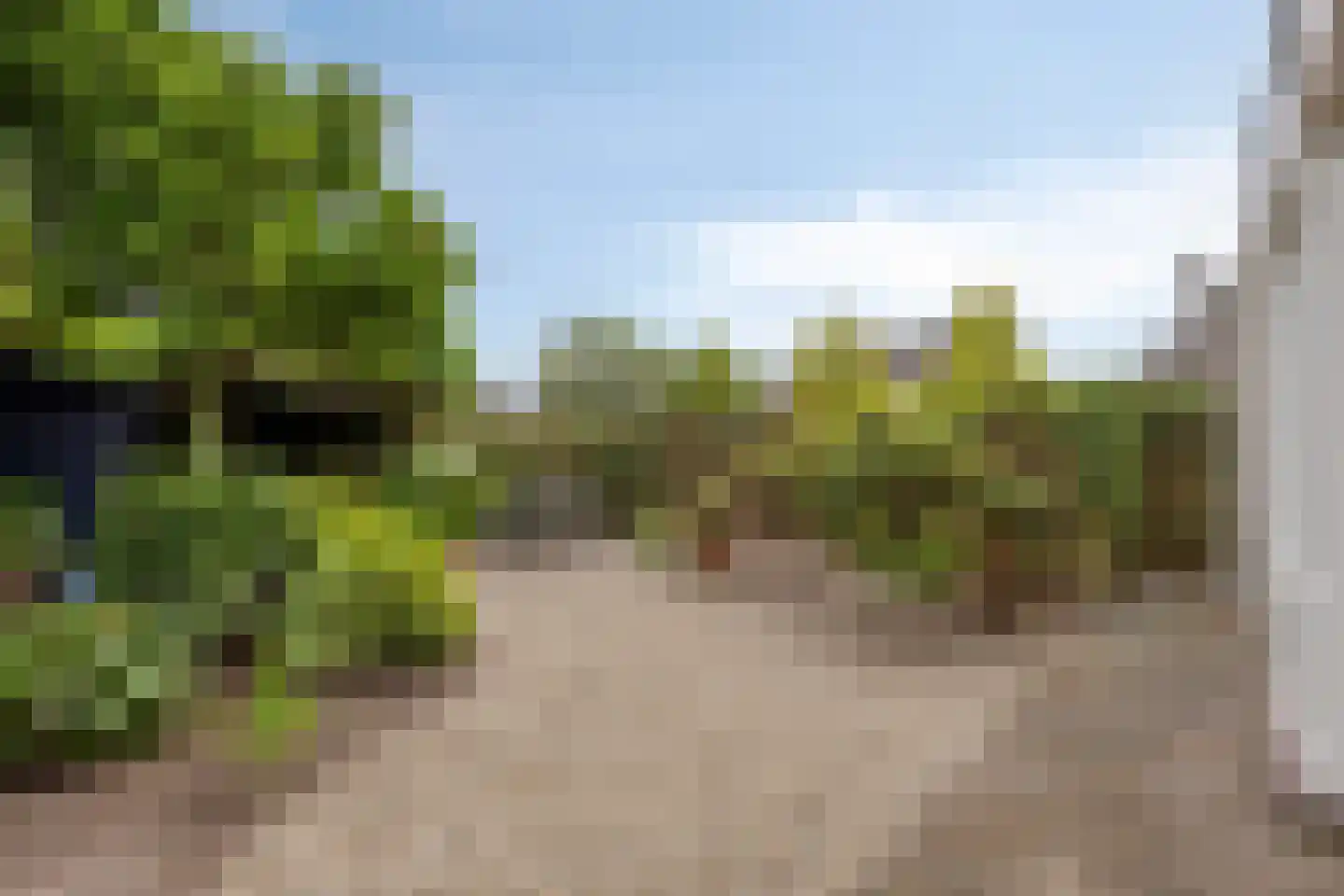 Den Hof 6 Nistelrode thumbnail 37