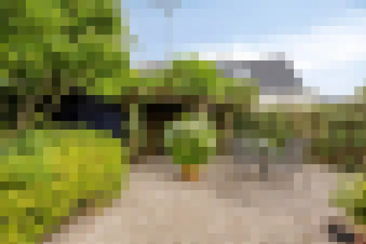 Den Hof 6 Nistelrode thumbnail 38
