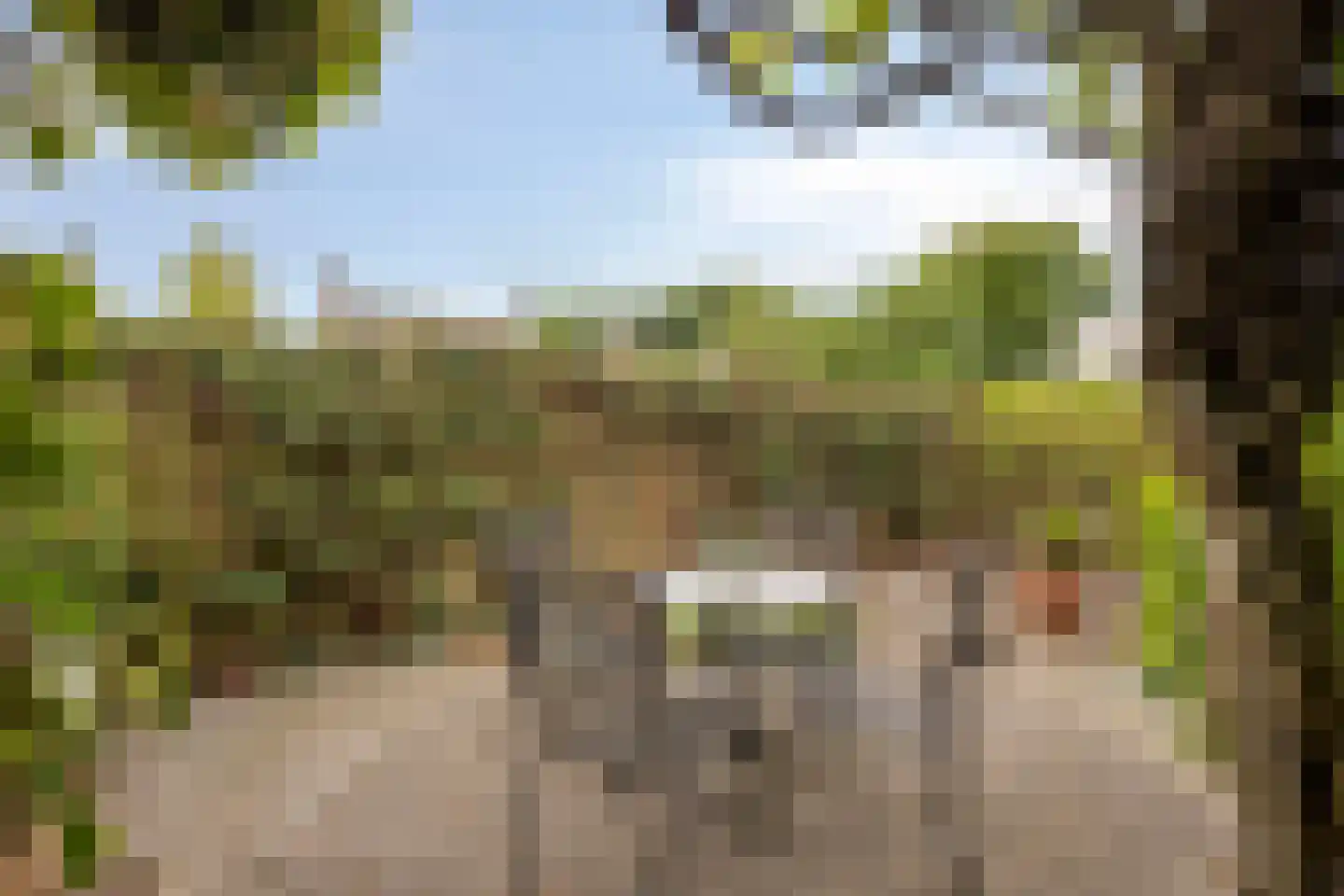 Den Hof 6 Nistelrode thumbnail 39