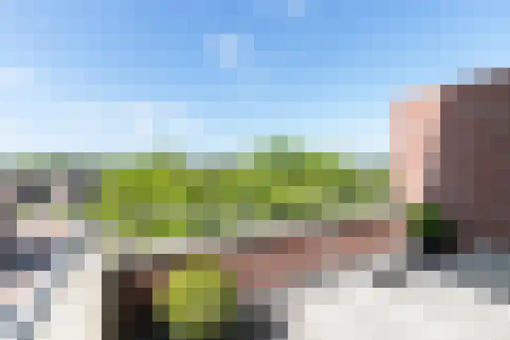 Den Hof 82 e Waalre thumbnail 17