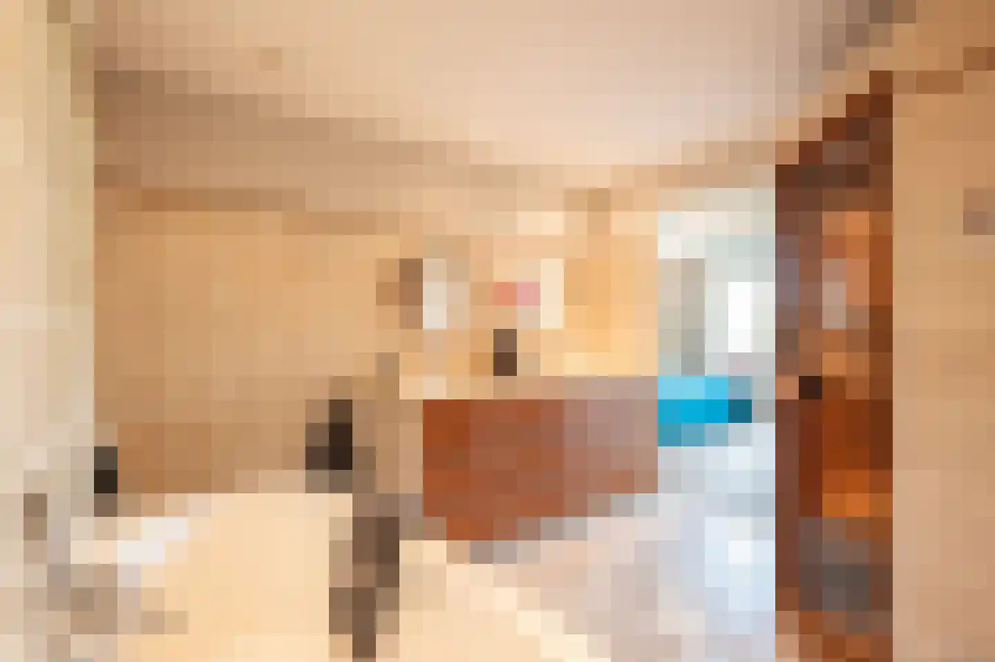 Den Hof 82 e Waalre thumbnail 22
