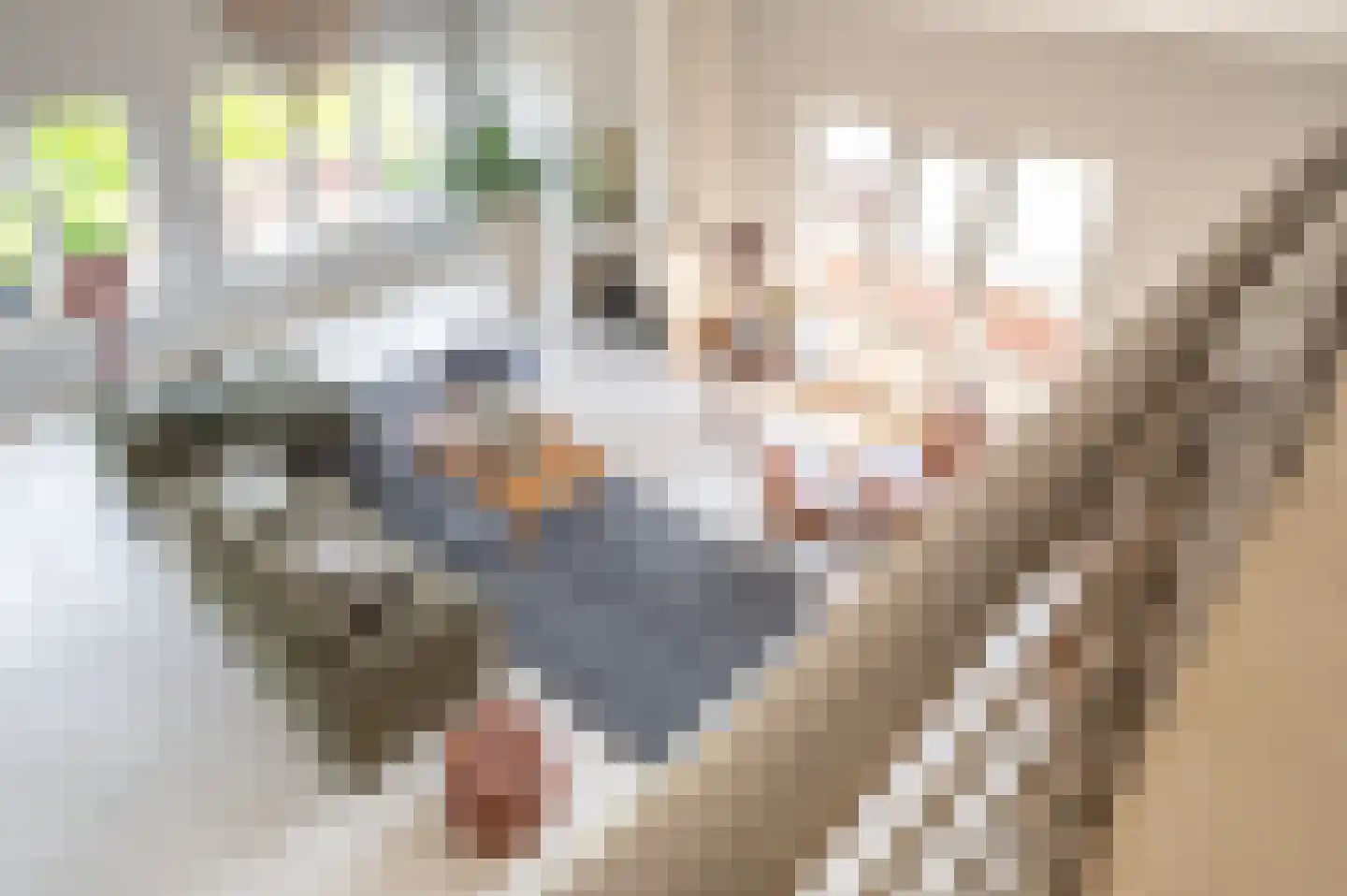Den Hof 82 e Waalre thumbnail 25