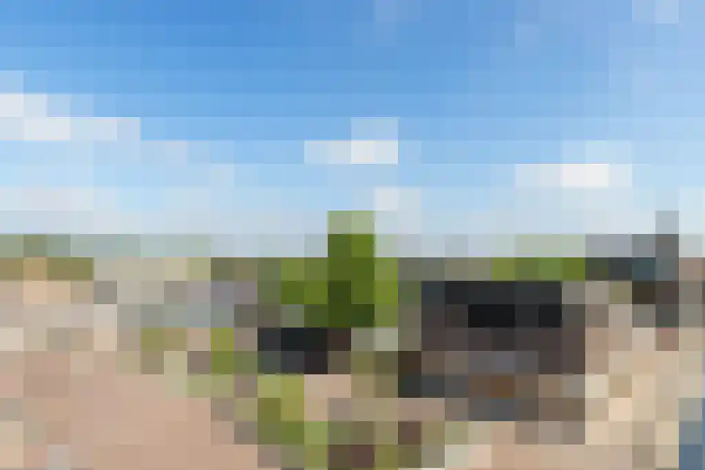 Den Hof 82 e Waalre thumbnail 36