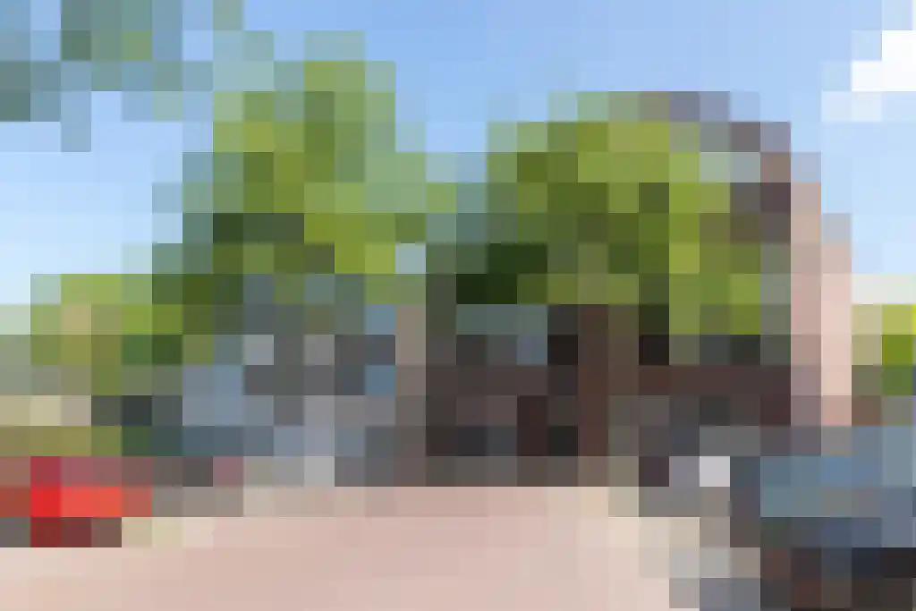 Den Hof 82 e Waalre thumbnail 40