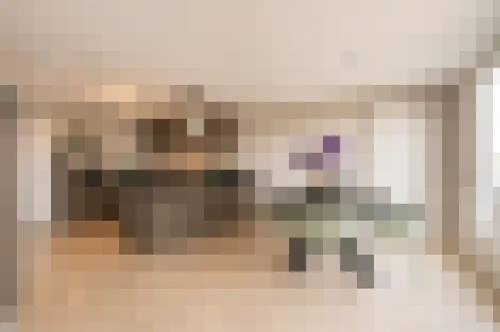 Den Hof 82 Waalre thumbnail 12
