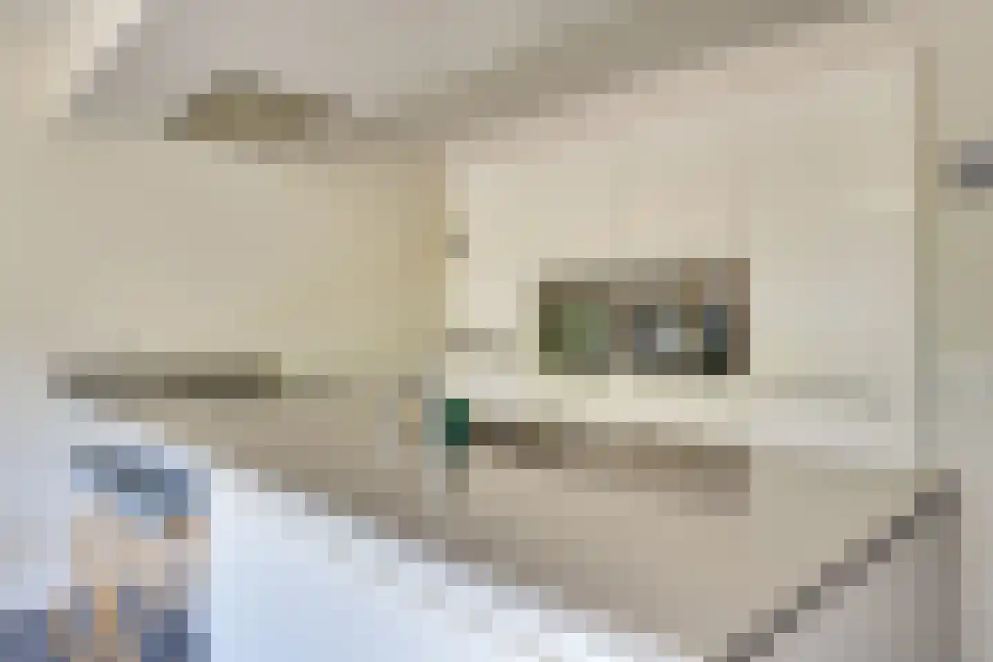 den Hoge Hurk 13 Helmond thumbnail 20