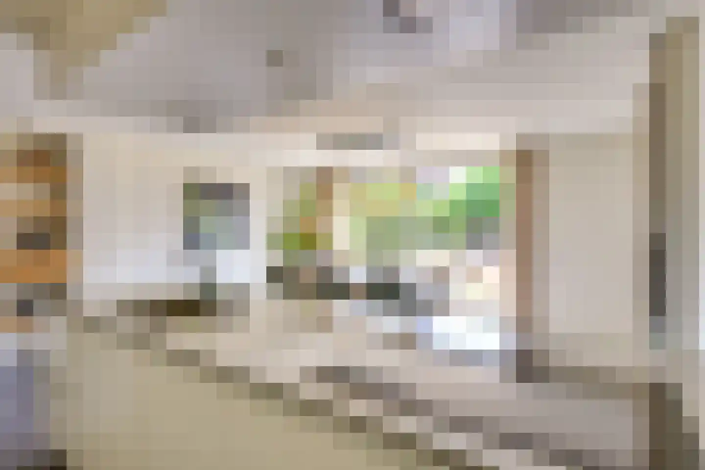 den Hoge Hurk 13 Helmond thumbnail 23